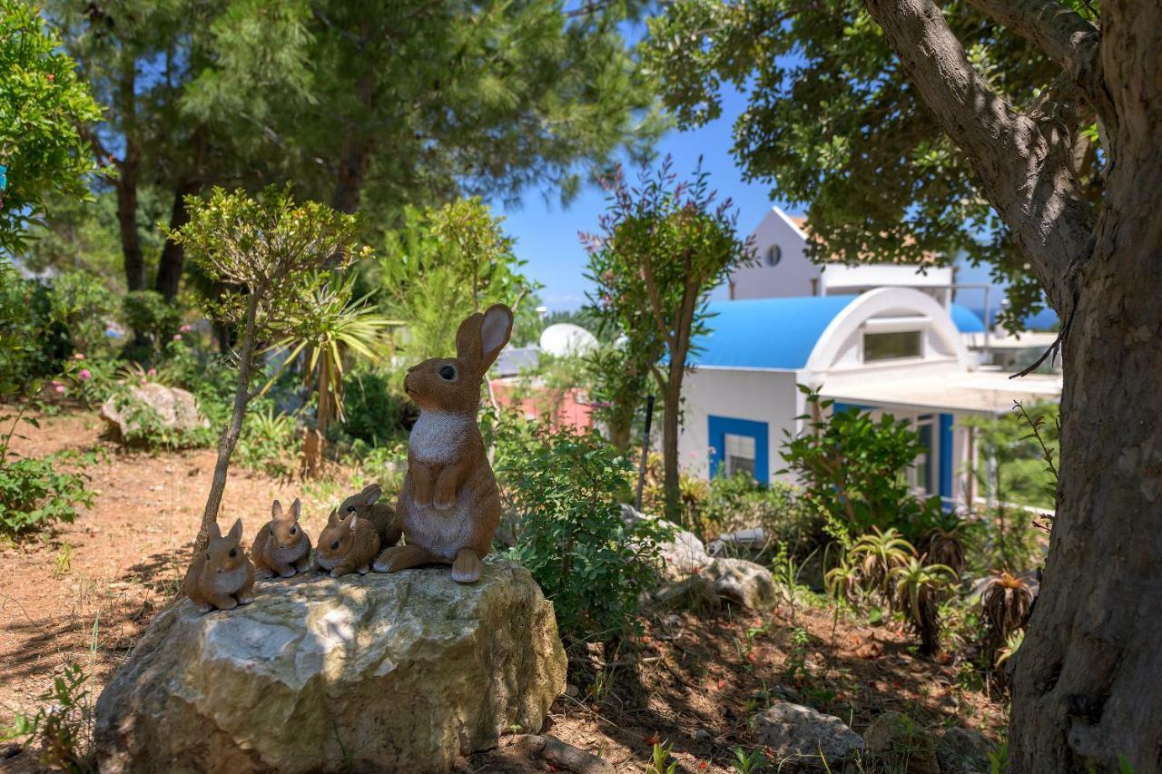 Grande Dame Villa Of Rhodes Asgourou エクステリア 写真